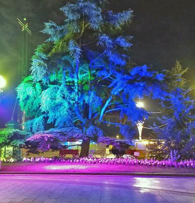 Прикрепленное изображение: IMG_20230307_203428.jpg